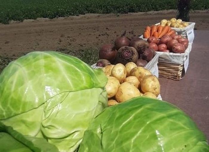 Отборные картошка, морковь, свекла, капуста и другие овощи от поставщика