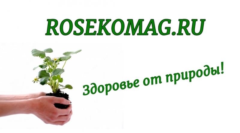 Природный бишофит