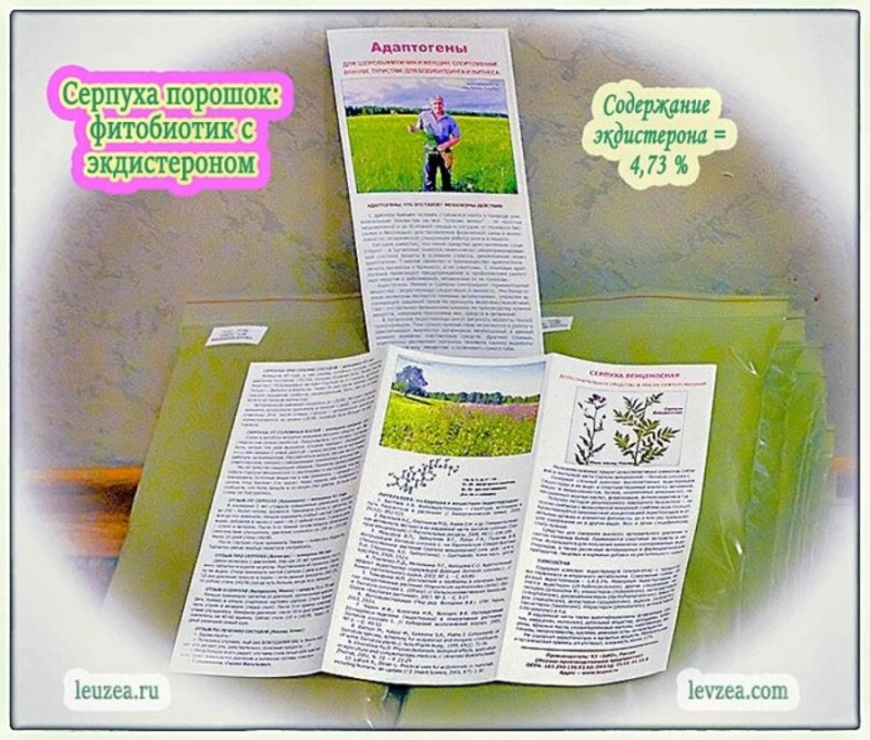 Фитобиотик cepпyхa c экдистepoном KX Биo