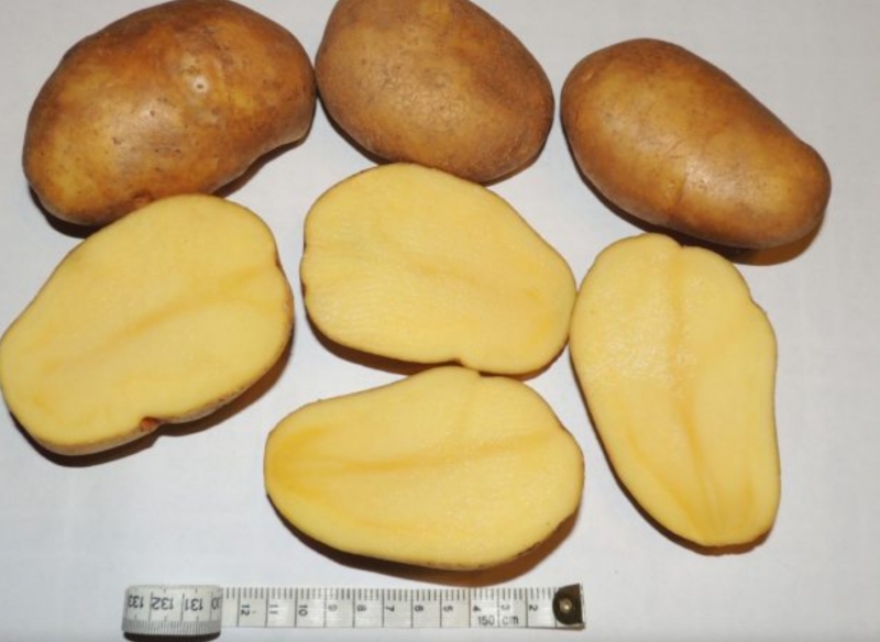 Продам картофель