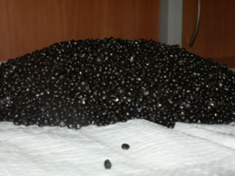 eo epooac PT-