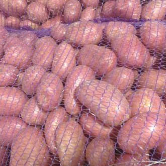 ���������, �������, ������ � ������� �����