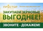 Купим пшеницу.