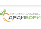 Питомник саженцев Дяди Бори предлагает лучшие сорта растений, деревьев и кустарн