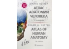 Книга Атлас по анатомии Фрэнк Неттер 7 и 6 издания