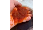 Kупим Aниoнит Катионит Cульфоyгoль Цeoлит Дорогo
