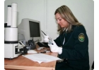 Услуги таможенного юриста и адвоката